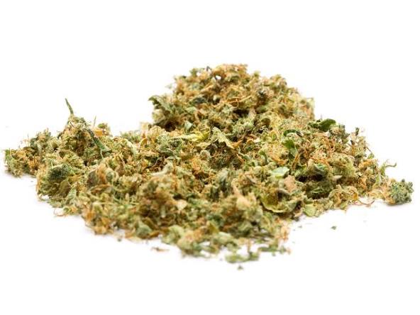 $40 ** Blue Dream Shake** <Fire!> "Oz Specials"