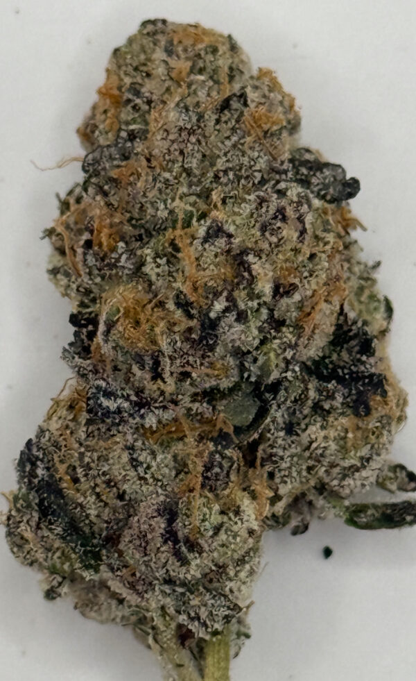 **Rainbow Sherbet ** $200 "Oz Special" {<Fire!!>} $30 1/8th #Ganja Guru!