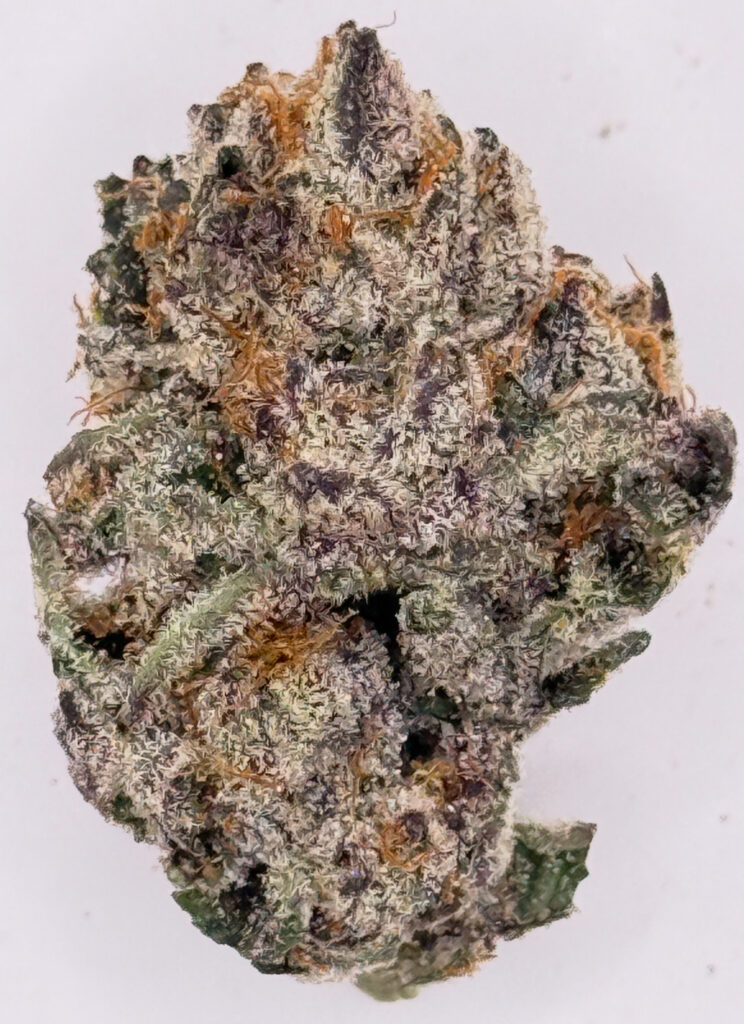 ** Alien Rocks ** $200 "Oz Special"  {<Exotic Flower!!>} $30 1/8th #Grape God X IILoveKushhh!