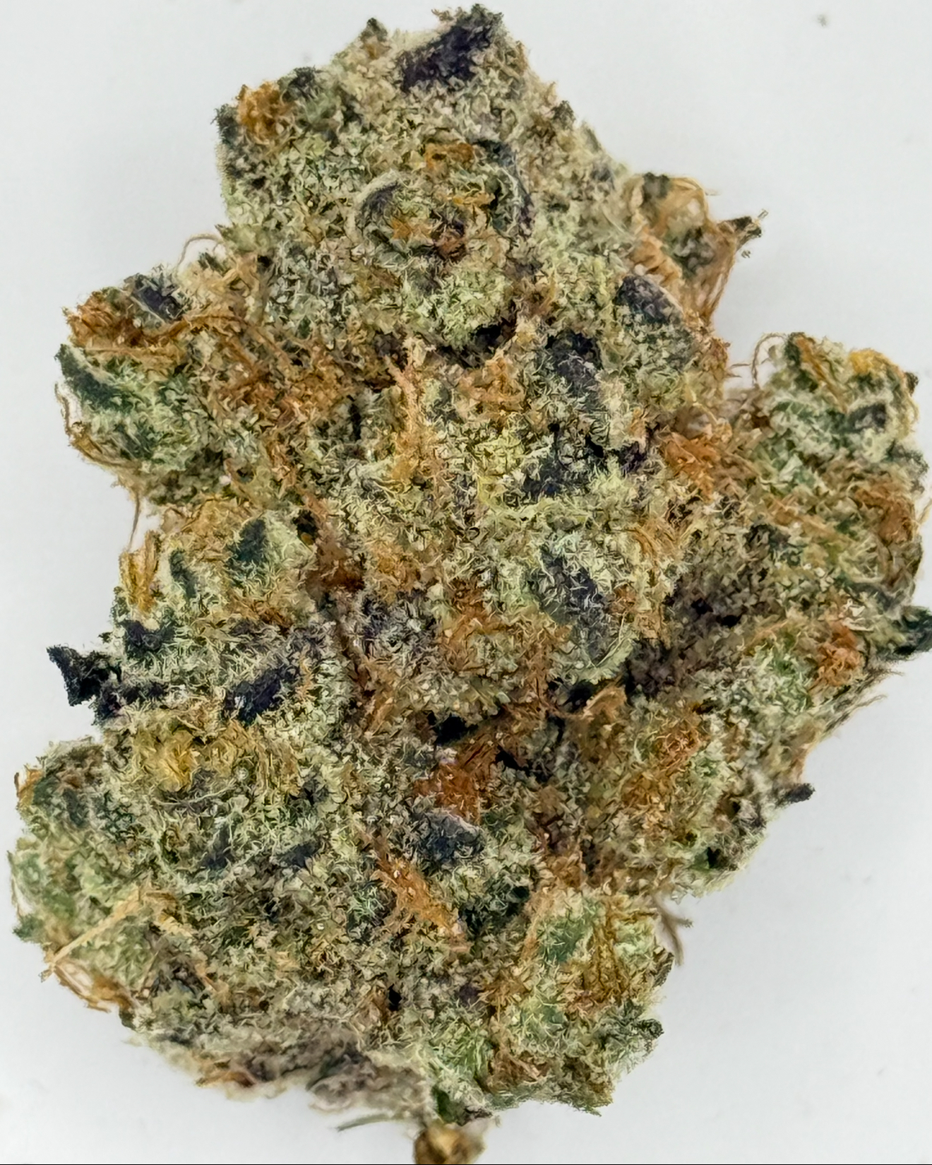 ** Gary Payton ** $240 "Oz Special" {<Fire!!>} $30 1/8th #Kaya Farms X Trichadelics Co.!