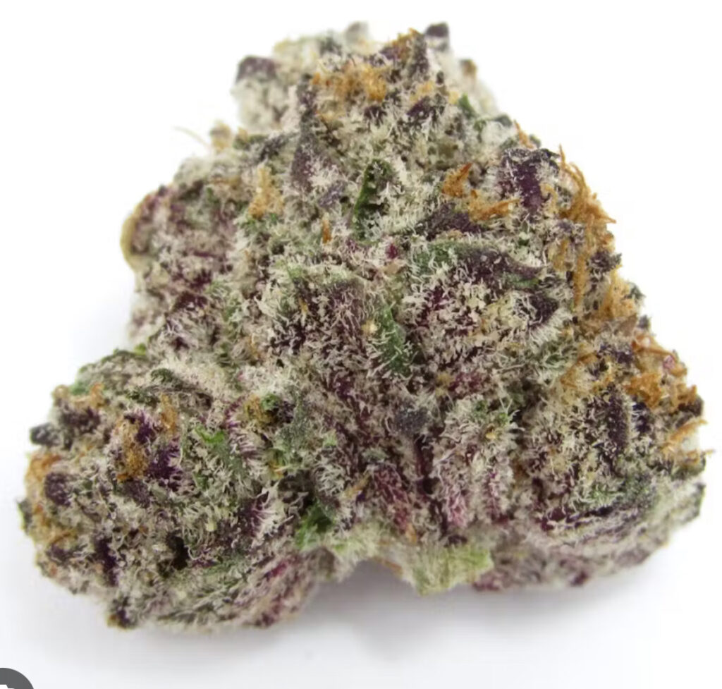 ** Gen Zunchi ** $200 "Oz Special" {<Fire!!>} $30 1/8th #Humboldt Organic Collective X Mendocino Farms!!