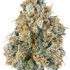 ** Gary Payton ** $200 "Oz Special"  {<Exotic Flower!!>} $30 1/8th #Grape God X IILoveKushhh!