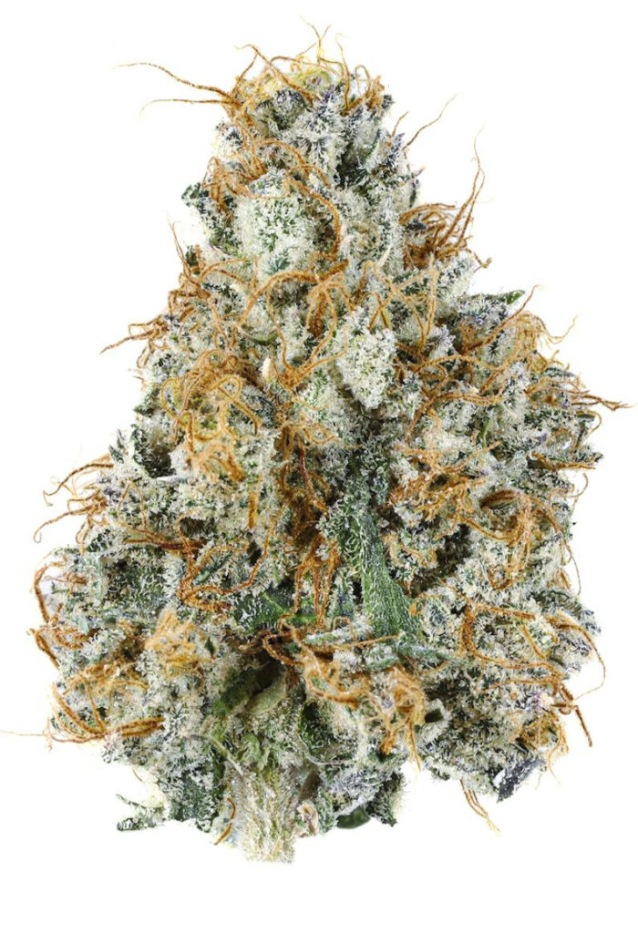 ** Gary Payton ** $200 "Oz Special"  {<Exotic Flower!!>} $30 1/8th #Grape God X IILoveKushhh!