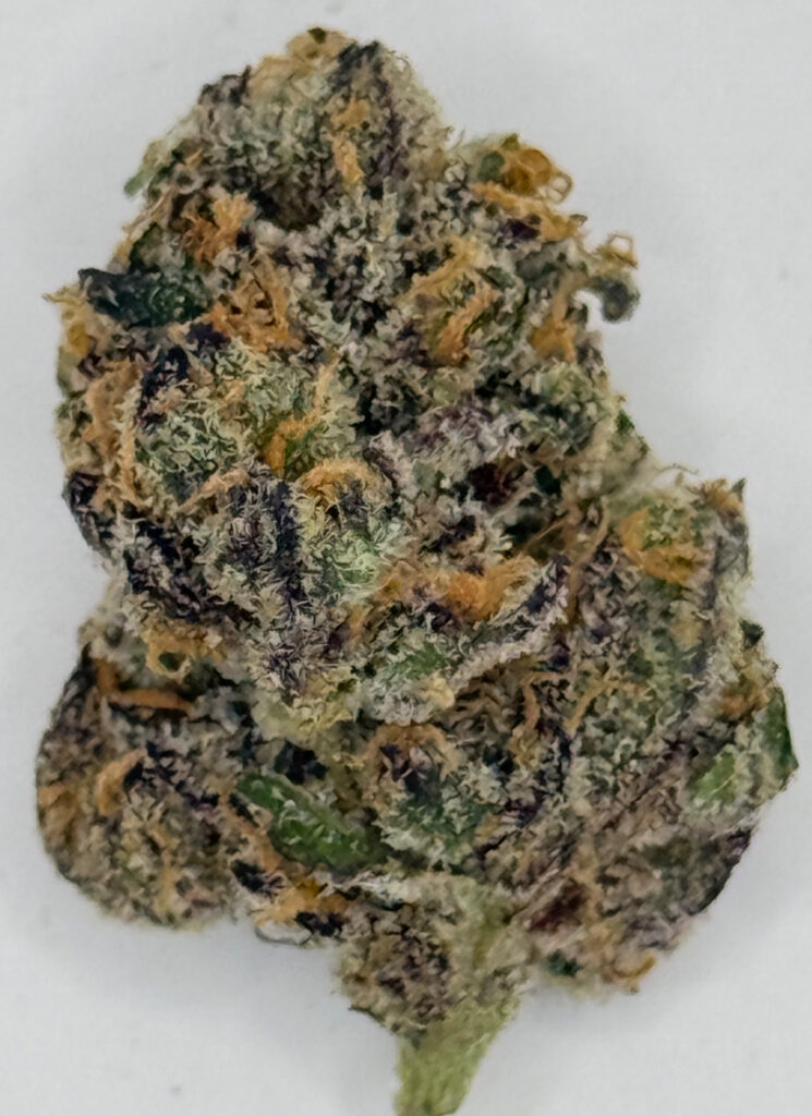 ** White Rhino ** $200 "Oz Special" {<Exotic Flower!!>} $30 1/8th #Maven Genetics!