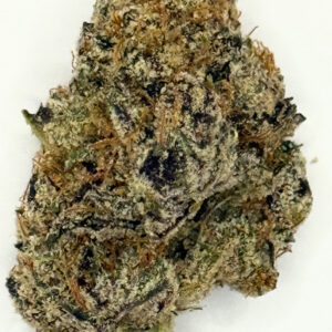 ** Apple Fritter** $160 "Oz Special" {<Fire!!>} $25 1/8th #Mendocino