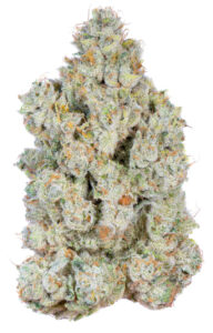** Lemon Diesel ** $240 "Oz Special" {<Fire!!>} $30 1/8th #Ganja Guru X Maven Genetics!