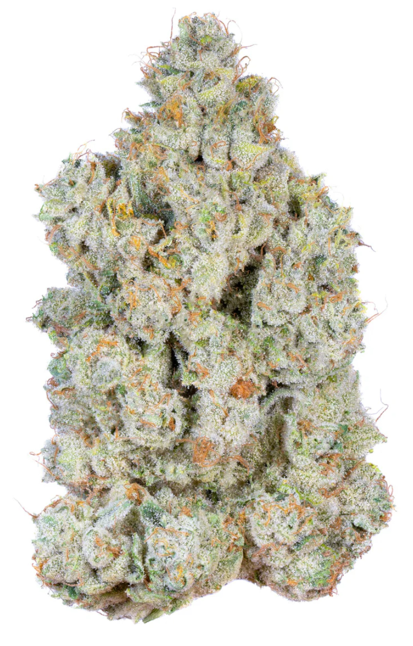 ** Lemon Diesel ** $240 "Oz Special" {<Fire!!>} $30 1/8th #Ganja Guru X Maven Genetics!