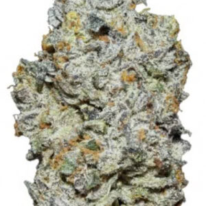 ** Nature Jewel ** $240 "Oz Special" {<Fire!!>} $30 1/8th #Ganja Guru X Maven Genetics!
