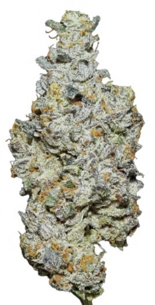 ** Nature Jewel ** $240 "Oz Special" {<Fire!!>} $30 1/8th #Ganja Guru X Maven Genetics!