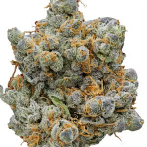 ** Gary Payton** $240 "Oz Special" {<Fire!!>} $40 1/8 #Lumpy’s Farms X Humboldt Organic Collective Farms!