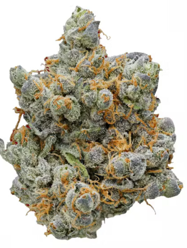 ** Gary Payton** $240 "Oz Special" {<Fire!!>} $40 1/8 #Lumpy’s Farms X Humboldt Organic Collective Farms!