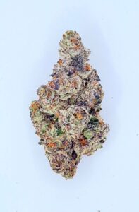 **Georgia Cream Pie $200 "Oz Special" {<Exotic Flower!!>} $30 1/8th #Maven Genetics X Damn It Bobby Collective!