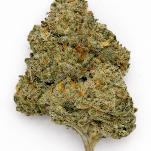 ** Dosi-Face "Oz Special" {<Exotic Flower!!>}  #Maven Genetics!