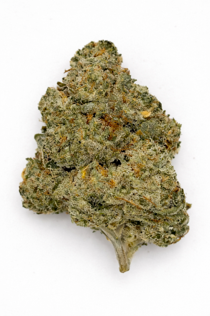 ** Dosi-Face "Oz Special" {<Exotic Flower!!>}  #Maven Genetics!