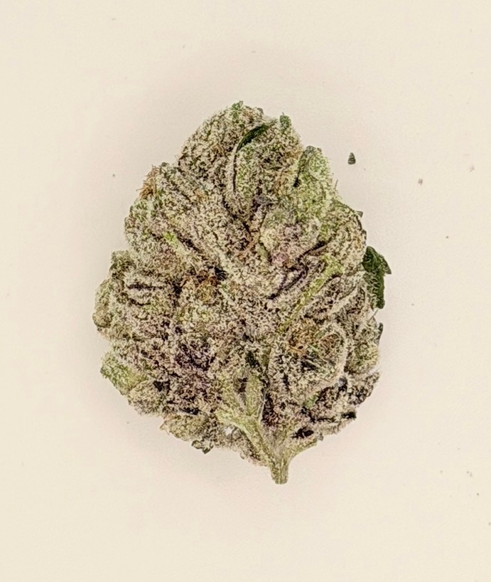 **Blue’s Galric Face $200 "Oz Special" {<Exotic Flower!!>} $30 1/8th #Maven Genetics X Damn It Bobby Collective!