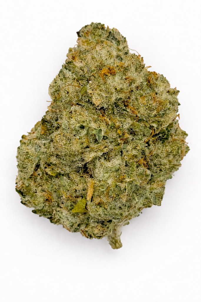 ** Honey Bananas ** "Oz Special" {<Exotic Flower!!>} #Maven Genetics!