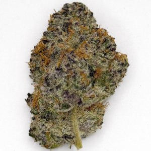 ** Fresh Berries ** "Oz Special" {<Fire!!>}  #Humboldt Organic Collective!
