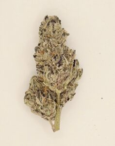 ** Fire Purp Cookies** $160 "Oz Special" {<Exotic Flower!!>} $30 1/8th #Anti-Grav Collab X Mendocino Co.