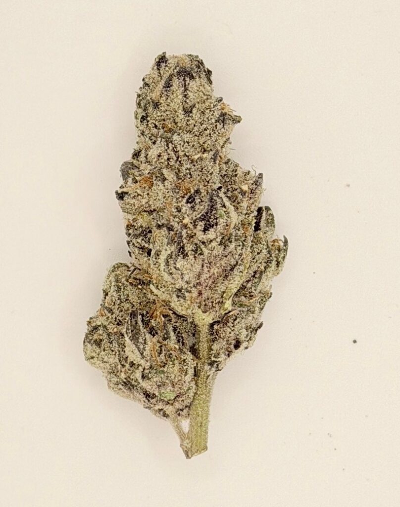 ** Fire Purp Cookies** $160 "Oz Special" {<Exotic Flower!!>} $30 1/8th #Anti-Grav Collab X Mendocino Co.