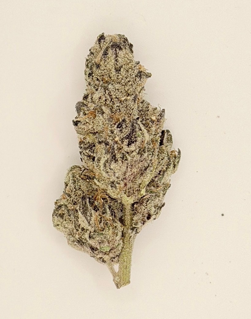 ** Fire Purp Cookies** $160 "Oz Special" {<Exotic Flower!!>} $30 1/8th #Anti-Grav Collab X Mendocino Co.