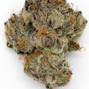 ** Lucid Blue ** "Oz Special"  {<Exotic Flower!!>} #Maven Genetics