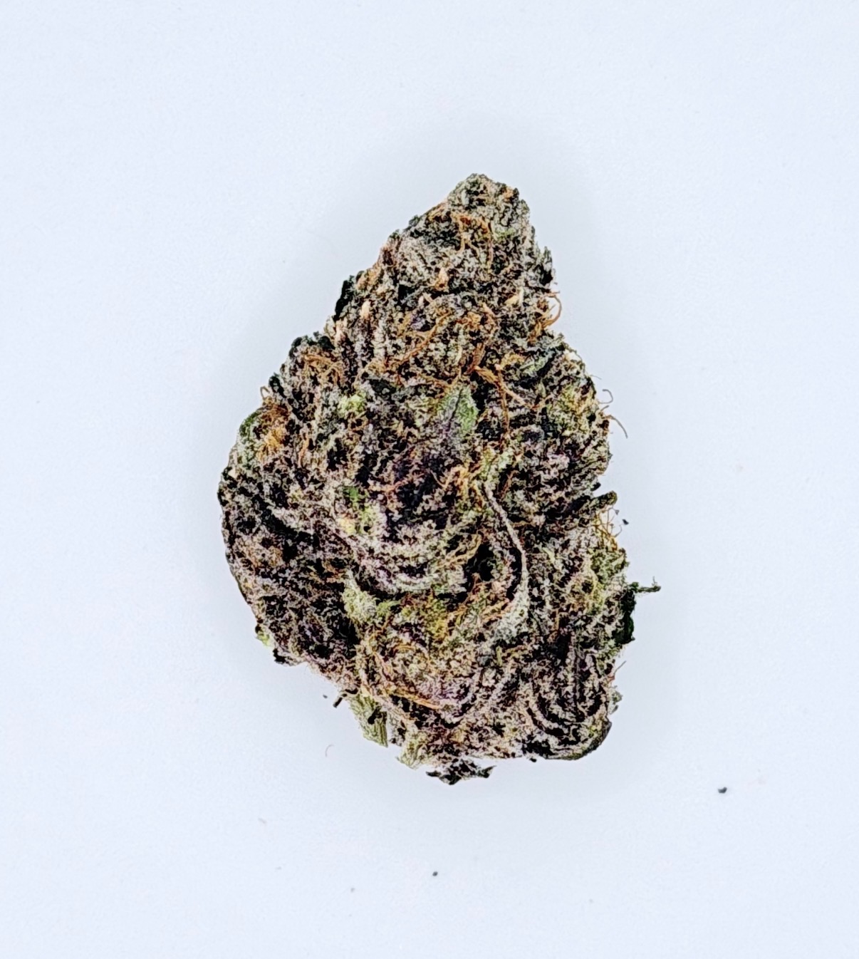 **Creme Brûlée Graps $200 "Oz Special" {<Exotic Flower!!>} $30 1/8th #Maven Genetics X Damn It Bobby Collective!