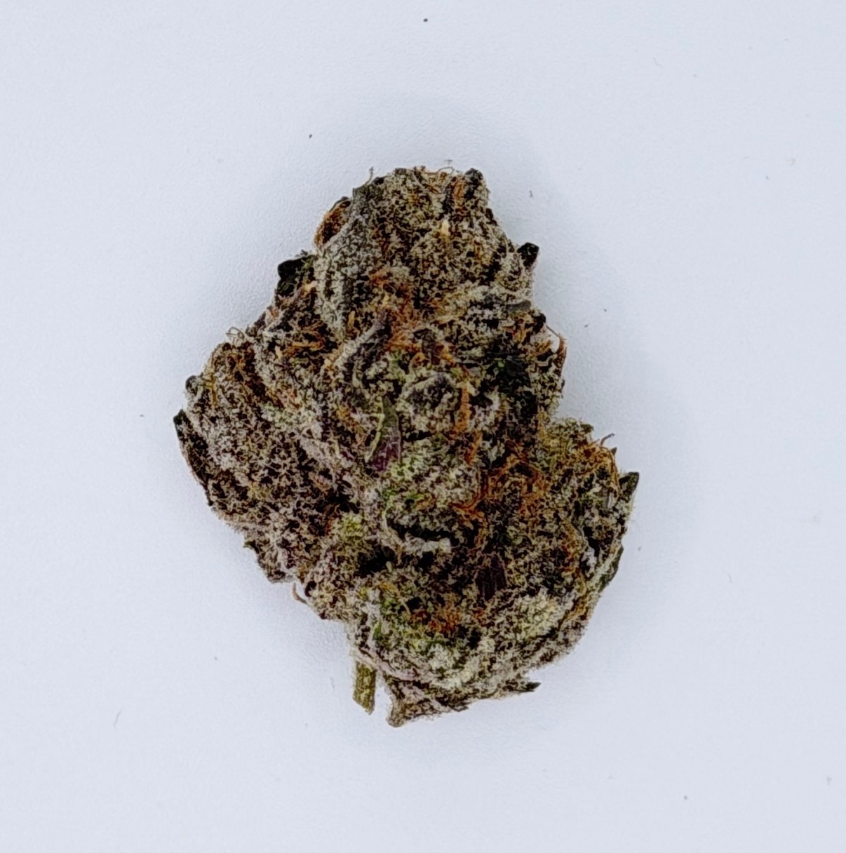 ** Black Gumbo Gelatii ** $200 "Oz Special"  {<Exotic Flower!!>} $30 1/8th #Kaya Farms X Trichadelics Co.! (Copy)