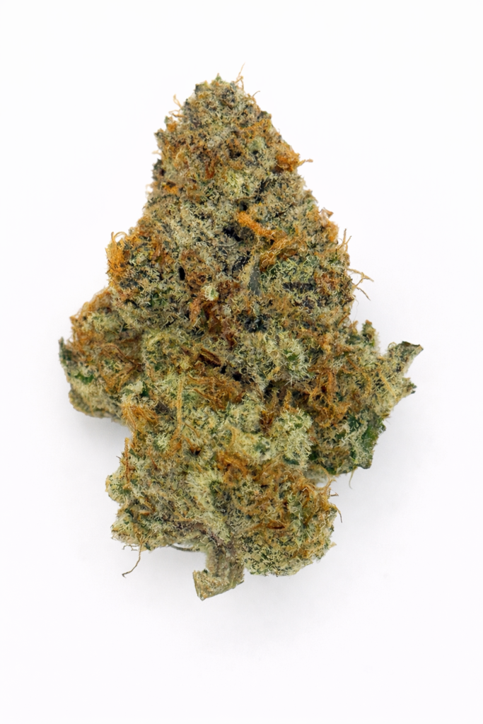 ** Key Lime Pie ** "Oz Special" {<Fire!!>}  #Humboldt Organic Collective!