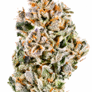 ** French Lotus ** "Oz Special" <1/4 $60> {<Exotic Flower!!>} #KushFace X Humboldt Organic Collective!
