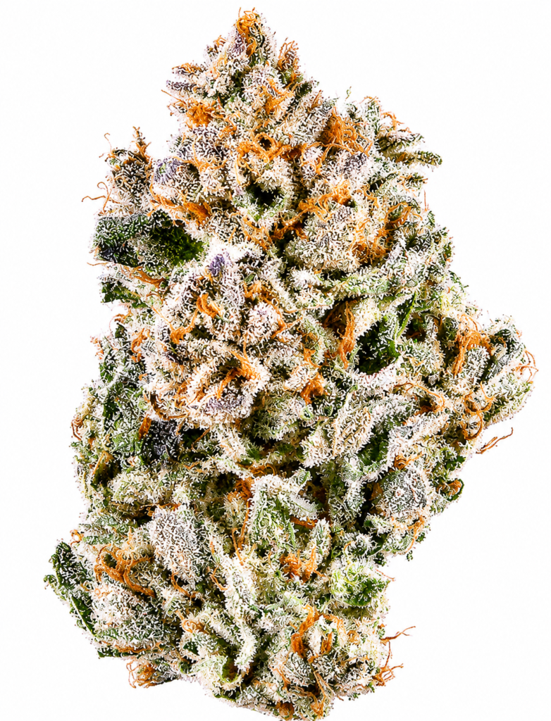 ** French Lotus ** "Oz Special" <1/4 $60> {<Exotic Flower!!>}  #KushFace X Humboldt Organic Collective!