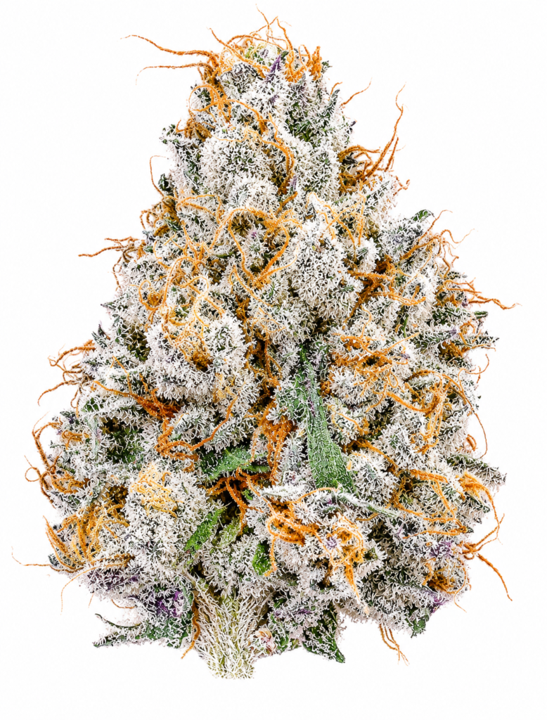 ** Silent Reaper  ** <1/4 $60>  {<Exotic Flower!!>} #Grape God X IILoveKushhh!