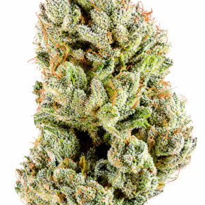 ** Ice Cream Cake ** "Oz Special" {<Fire!!>} #Humboldt Organic Collective!