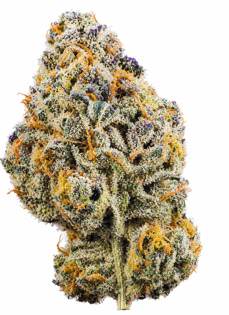 ** Gary Payton  **"Oz Special"  <1/4 $60> {<Exotic Flower!!>} #Grape God X IILoveKushhh!