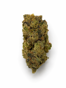 ** Ameretto Di Limon ADL ** "Oz Special" {<Exotic Flower!!>} #Maven Genetics