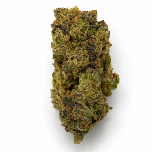 ** Ameretto Di Limon ADL ** "Oz Special" {<Exotic Flower!!>} #Maven Genetics