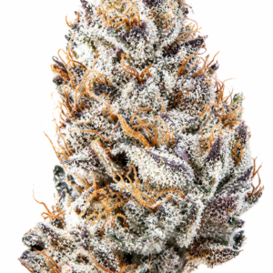 ** Fresno Grizzly Kush ** <1/4 $60> "Oz Special" {<Fire!!>} #Humboldt Organic Collective!