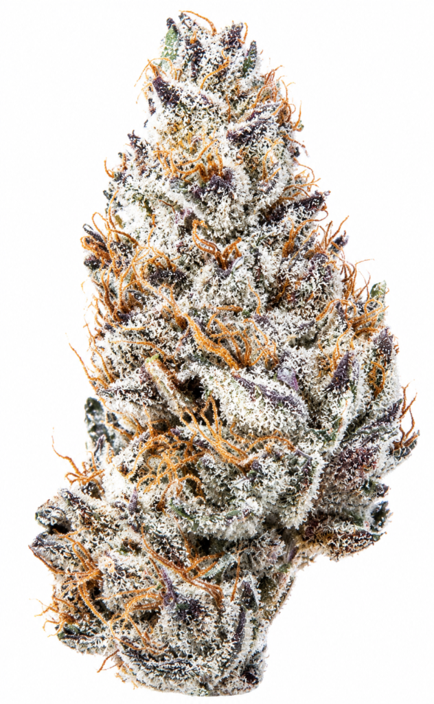 ** Fresno Grizzly Kush ** <1/4 $60>  "Oz Special" {<Fire!!>}  #Humboldt Organic Collective!