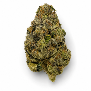 ** Apex Gas ** "Oz Special" {<Exotic Flower!!>} #Maven Genetics