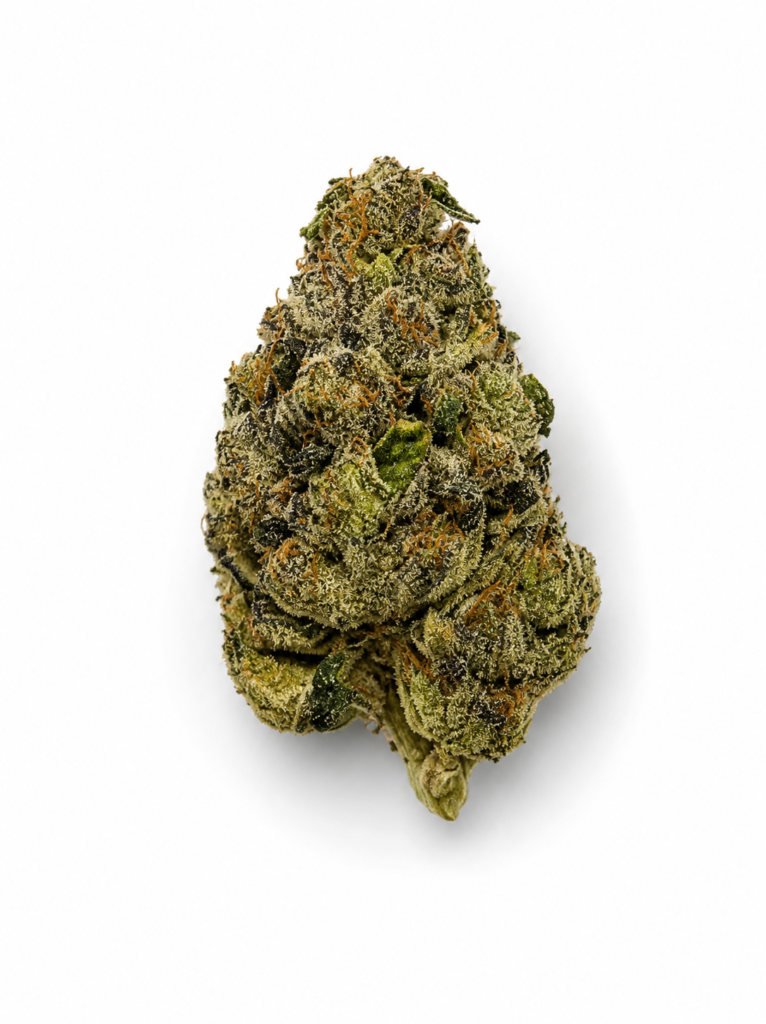 ** Apex Gas ** "Oz Special"  {<Exotic Flower!!>} #Maven Genetics