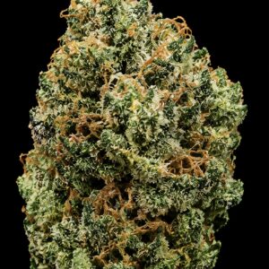 ** Jet Fuel ** "Oz Special"  {<Exotic Flower!!>} #Maven Genetics
