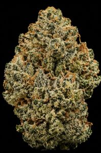 ** Snowcap Coma ** <1/4 $60> {<Exotic Flower!!>} #Grape God X IILoveKushhh!