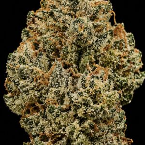 ** Snowcap Coma ** <1/4 $60>  {<Exotic Flower!!>} #Grape God X IILoveKushhh!