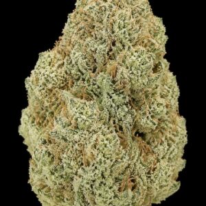 ** French Butter ** "Oz Special" <1/4 $60> {<Exotic Flower!!>}  #Maven X Humboldt Organic Collective!