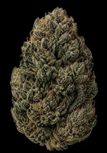 ** Category 5 Chem **"Oz Special" <1/4 $60> {<Exotic Flower!!>} #Grape God X IILoveKushhh!