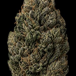 ** Category 5 Chem **"Oz Special"  <1/4 $60> {<Exotic Flower!!>} #Grape God X IILoveKushhh!