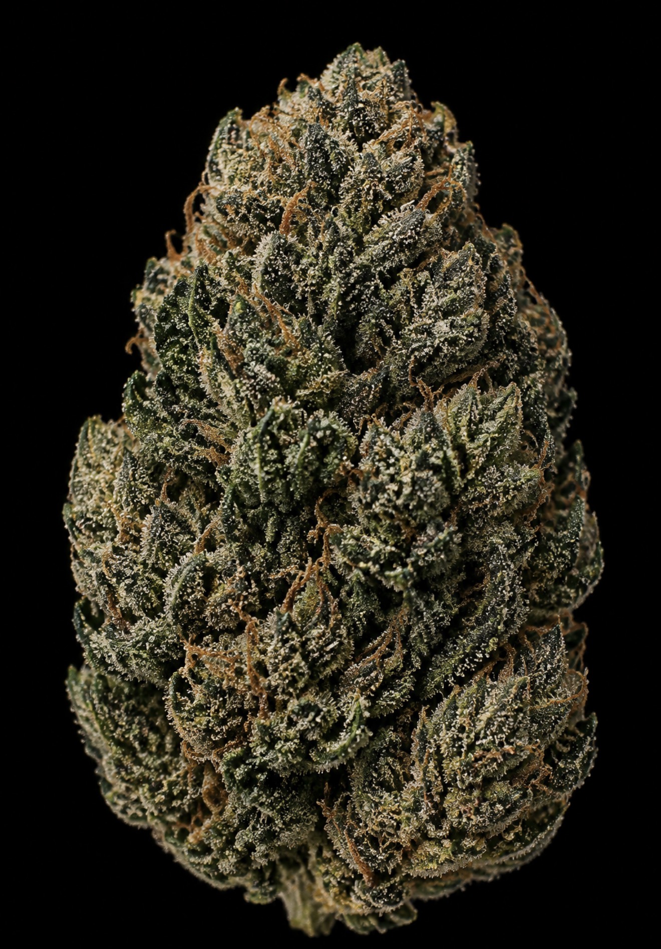 ** Category 5 Chem **"Oz Special"  <1/4 $60> {<Exotic Flower!!>} #Grape God X IILoveKushhh!